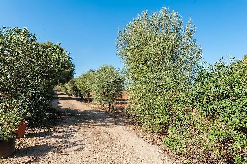 Son Xorc Villa Campos Spanyolország