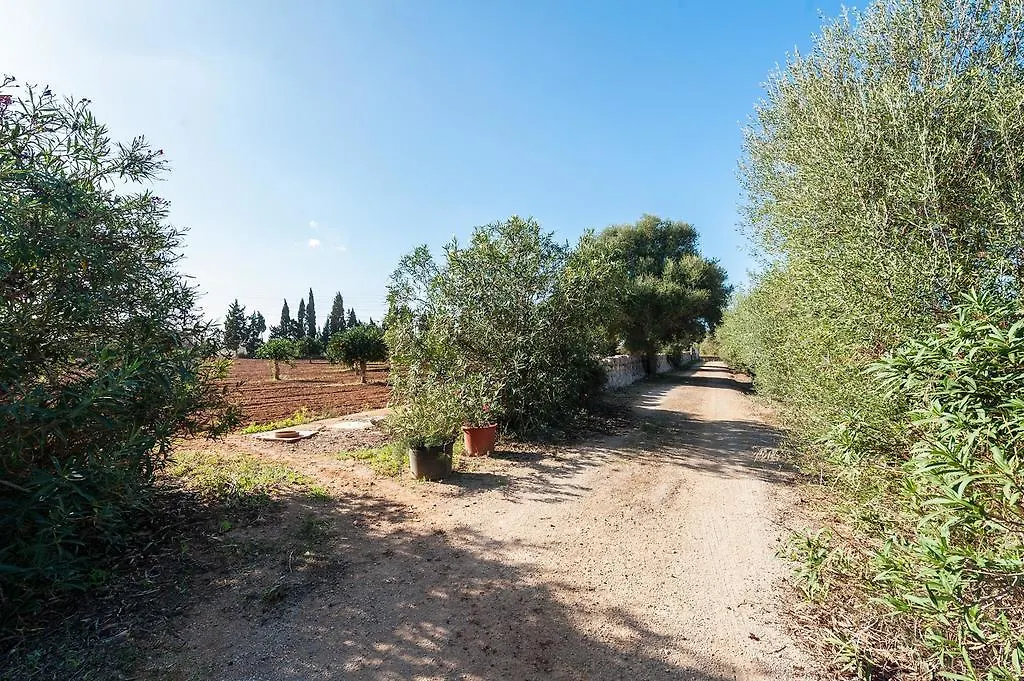 Son Xorc Villa Campos